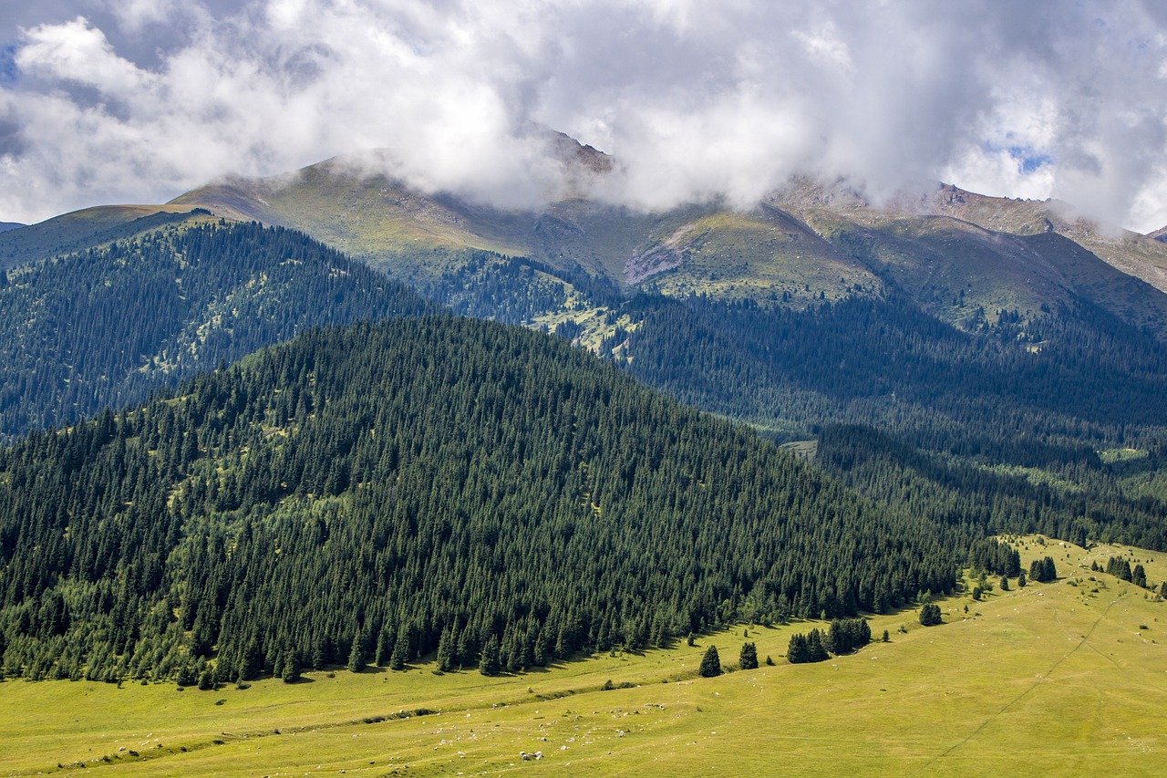 The Correlation between Green Energy and Financial Performance